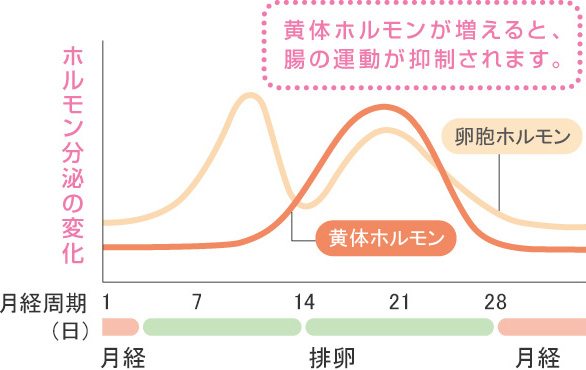 ホルモン分泌の変化のグラフ